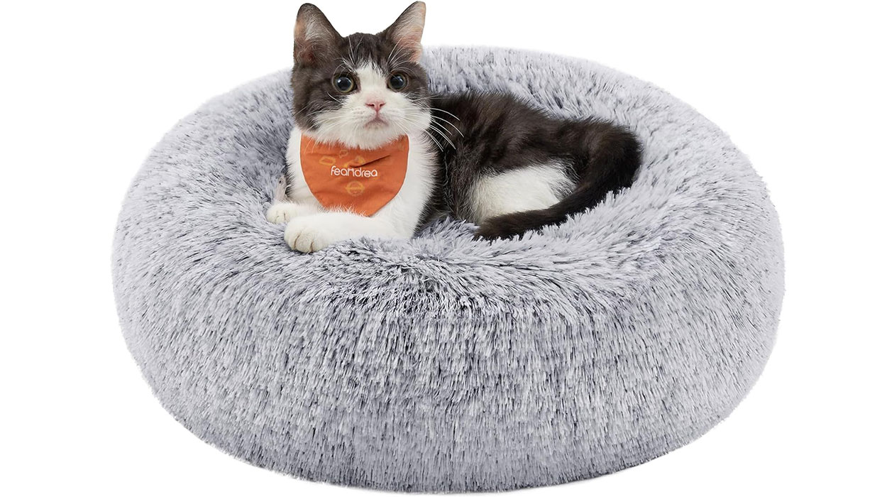 Esta es la cama de felpa para mascotas más vendida en Amazon y hoy puedes comprarla a un precio de risa