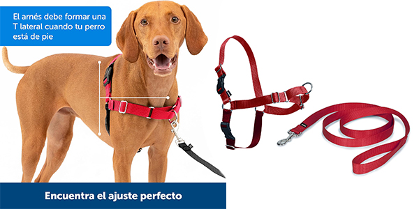 Con este arnés antitirones PetSafe Easy Walk llevarás seguro a tu amigo peludo por muy poco dinero