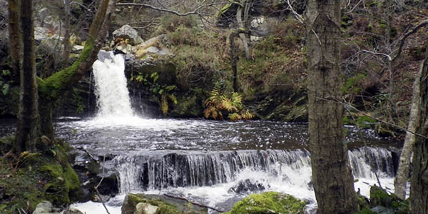 Escapada a Asturias para hacer la Senda La Regueirina desde solo 35€/noche con cancelación gratis