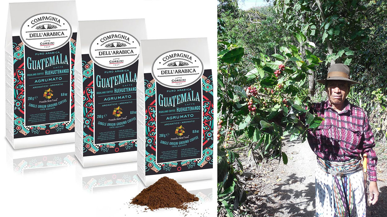 Chollo Pack x3 Café Corsini Guatemala de 250 g por sólo 15,46€