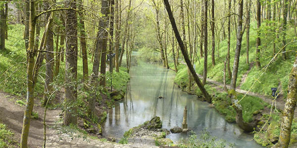 Escapada al nacimiento del Ebro con desayunos incluidos desde solo 35€/noche con desayunos y cancelación gratis