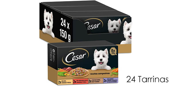 Chollo Pack x24 tarrinas de comida húmeda para perros César Recetas Campesinas por sólo 22,69€ (-15%)