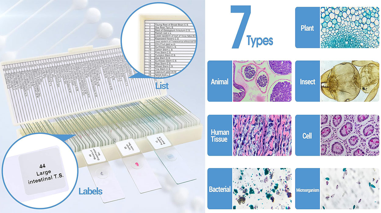 Descubre los secretos de la vida con este juego de 60 muestras para microscopio ¡Es ideal para niños y docentes!