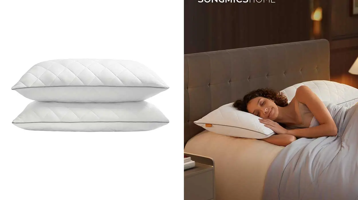 Chollo Juego de 2 almohadas Songmics Home con cara dual invierno-verano por sólo 23,51€ con cupón (-30%)