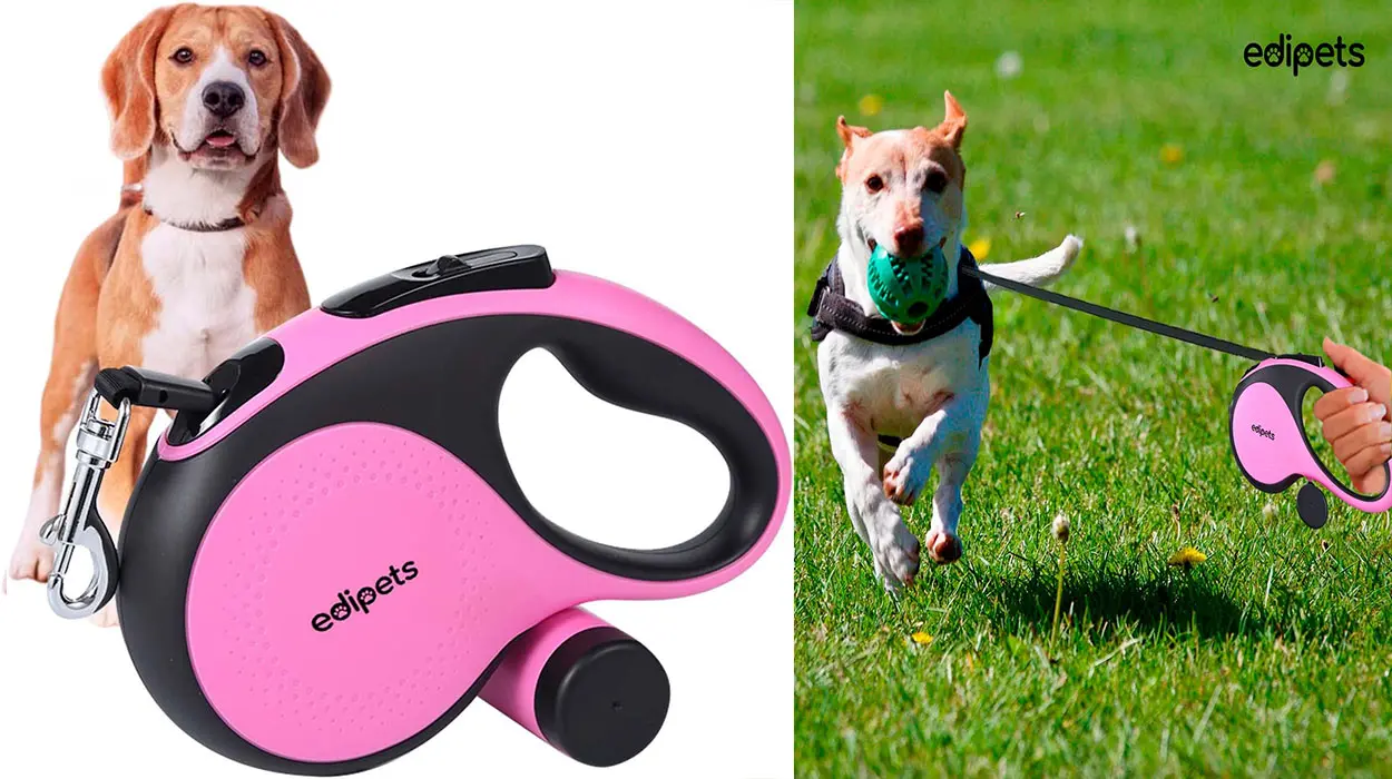 Chollo Correa extensible para perros Edipets de 5 m por sólo 9,99€ (-39%)