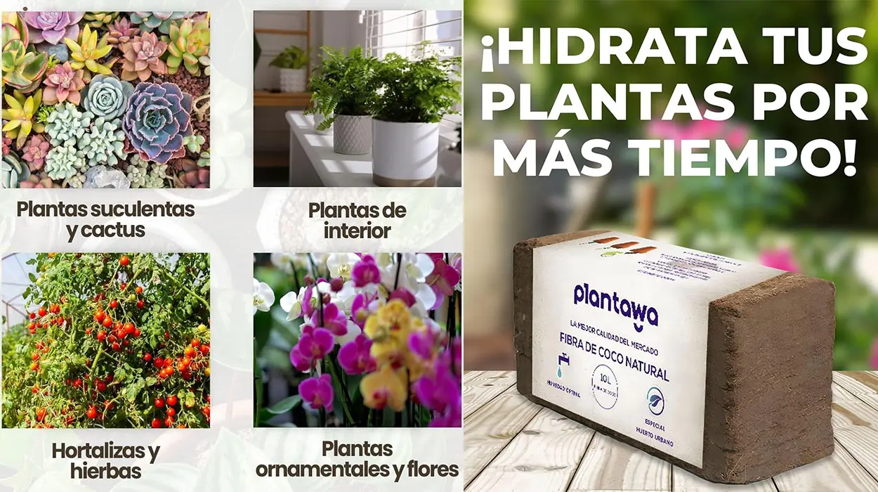 Chollo Pack x3 Fibra de coco Plantawa de 10 litros para el huerto por sólo 8,50€ (-29%)