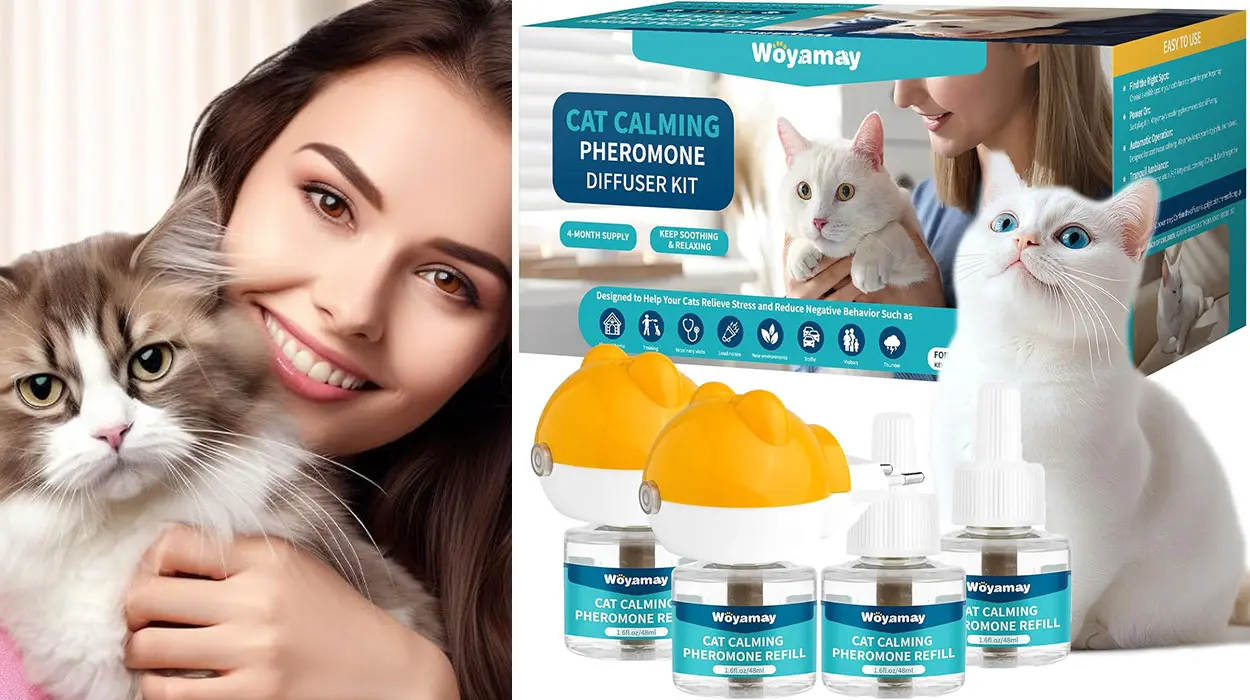 Chollo Kit Difusor de feromonas Woyamay para gatos por sólo 22,67€ con cupón descuento (-20%)