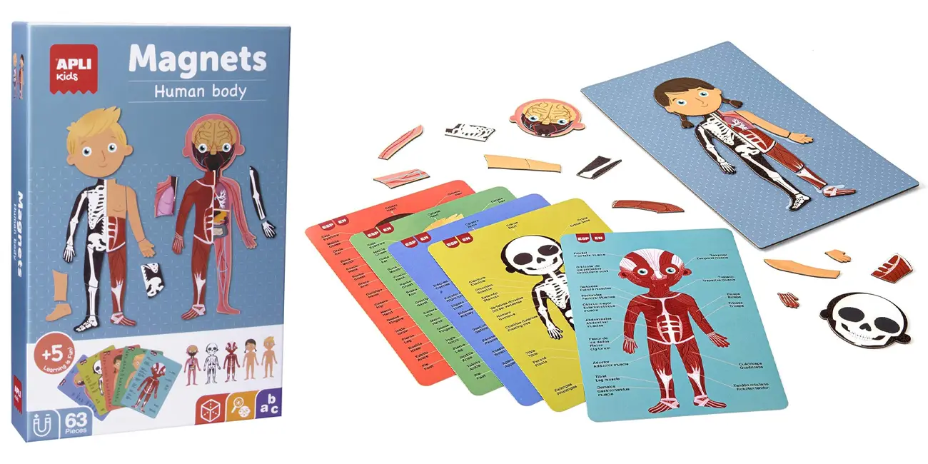 Chollo Set de imanes Apli Kids Cuerpo humano por sólo 8,50€ (55% de descuento)