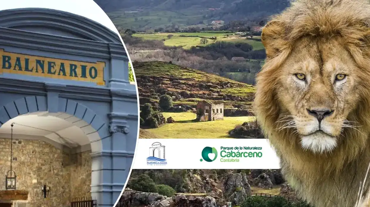 Entradas a Cabárceno Junio 2025 + 2 noches en Hotel 3* con buffet desayuno y acceso a piscina interior desde sólo 64€ por persona