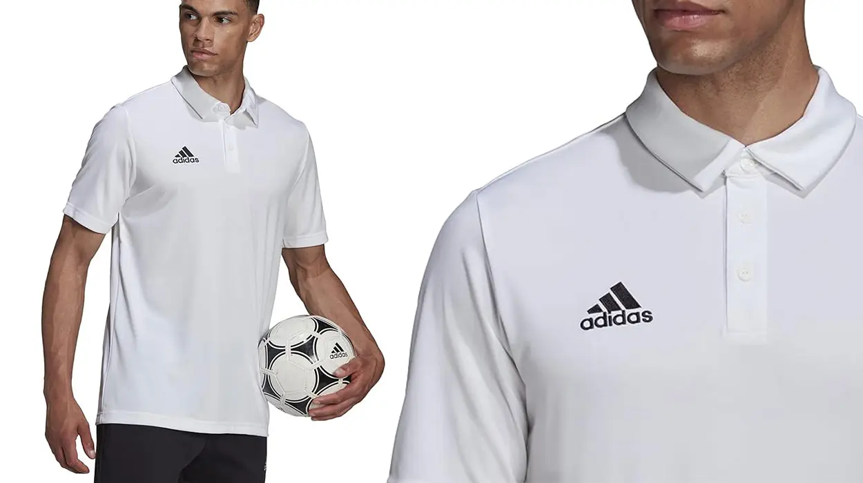 Chollo Polo Adidas Entrada 22 blanco para hombre por sólo 15,99€ (-36%)