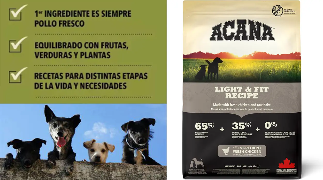 Nutrición premium para tu perro con este pienso Acana a tope de proteínas, al precio más bajo con cupón (-32%)