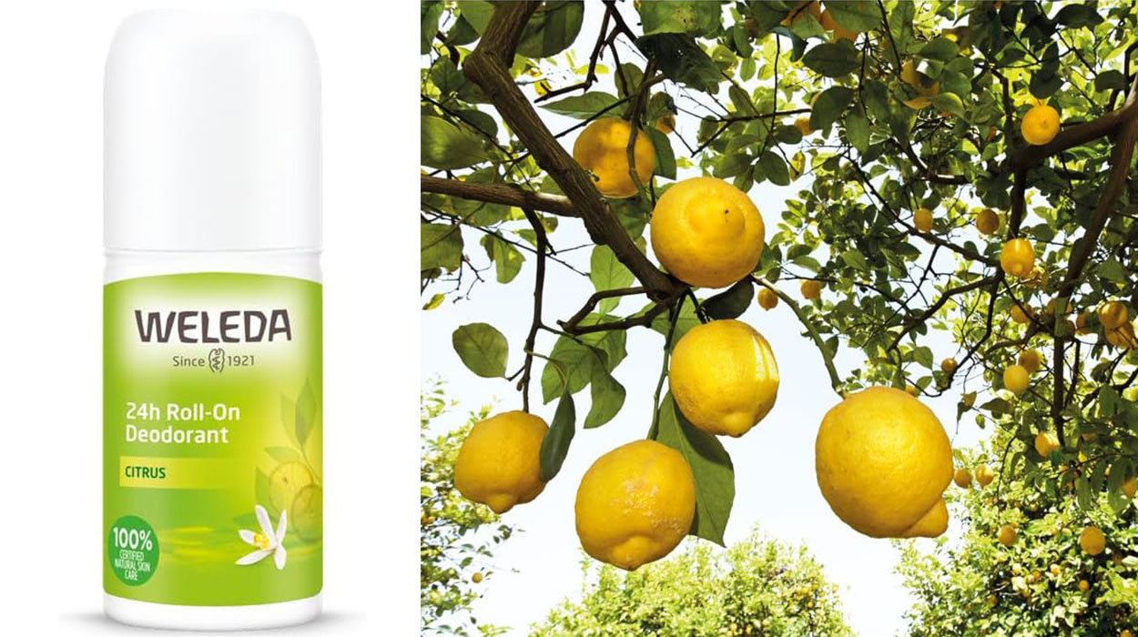 Chollo Desodorante roll-on Weleda Citrus por sólo 5,95€ (-40%)
