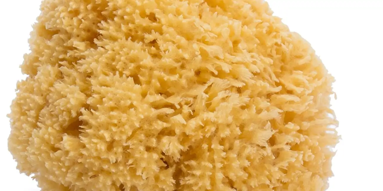 Chollo Esponja natural de mar Suavinex para bebé por sólo 4,37€ (-37%)