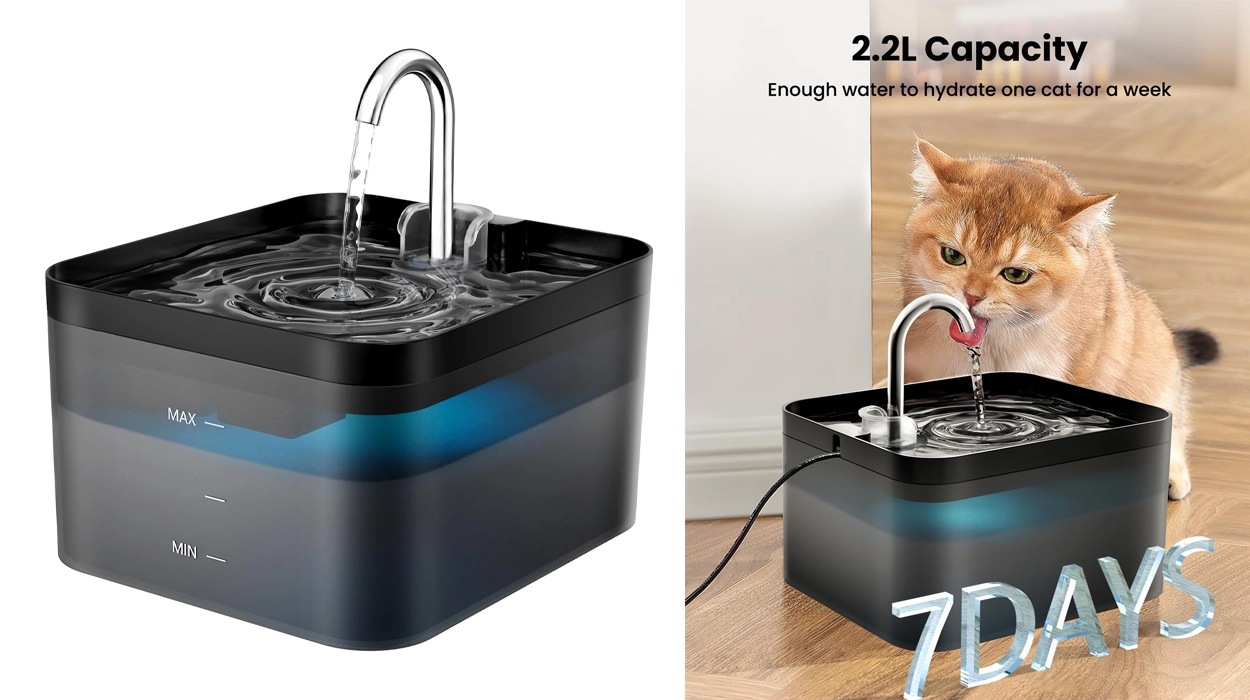 Llévate esta fuente de agua para gatos ahora a su precio «mínino» en Amazon