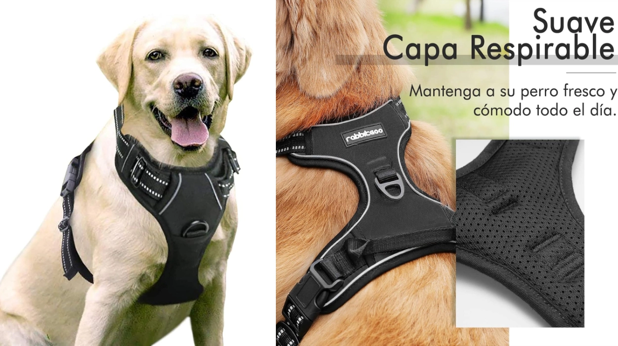 Paseos más controlados y cómodos con este arnés anti tirones para perros, con correas reflectantes y acolchado transpirable