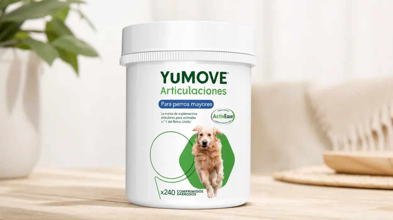 Condroprotector YuMOVE para perros mayores, 240 tabletas de 170 mg cada una por sólo 41,88€ con envío gratis (-49%)