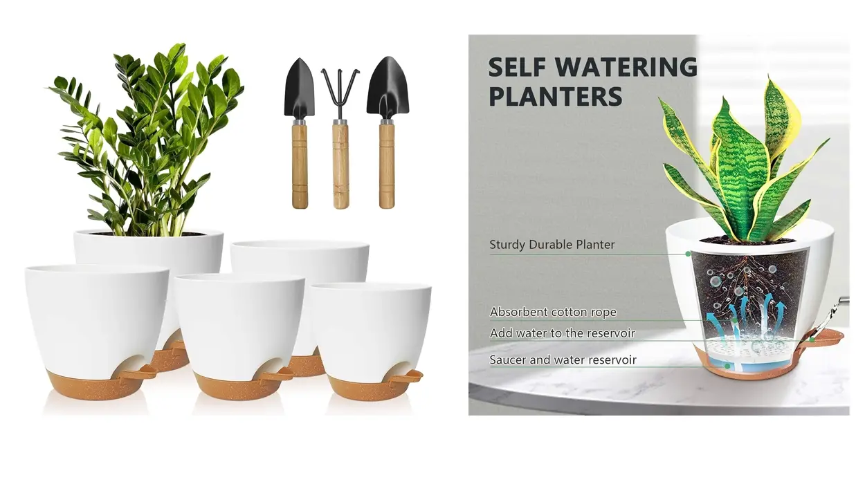 Estas macetas decorativas con autorriego harán crecer tus plantas sin casi hacerles caso y hoy están baratísimas